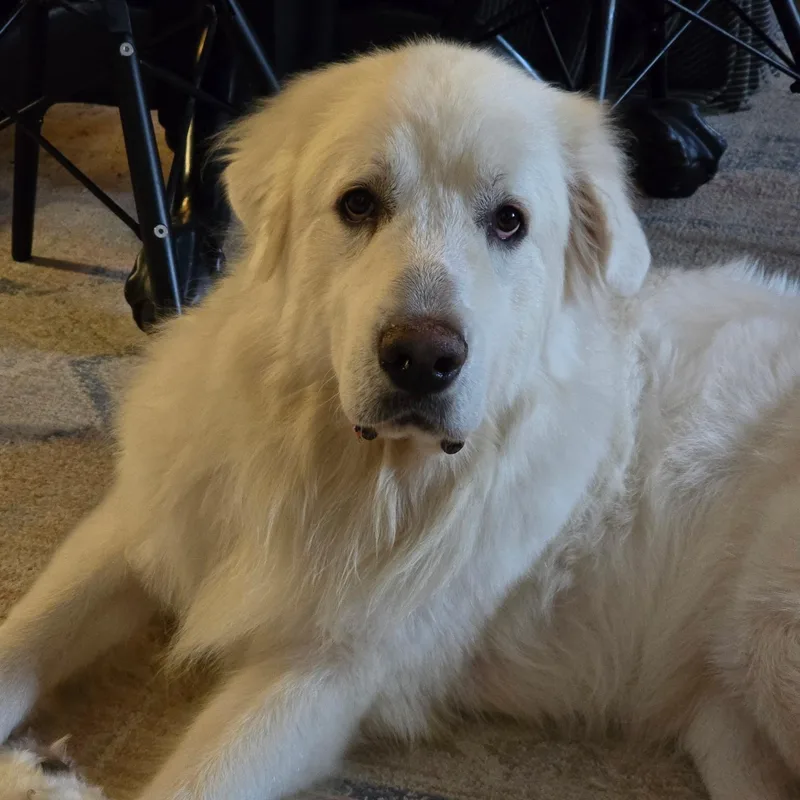 Jax  Beautiful Boy thumbnail 3