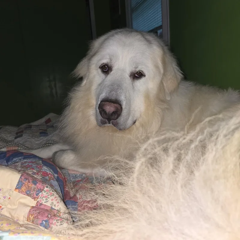 Jax  Beautiful Boy thumbnail 4