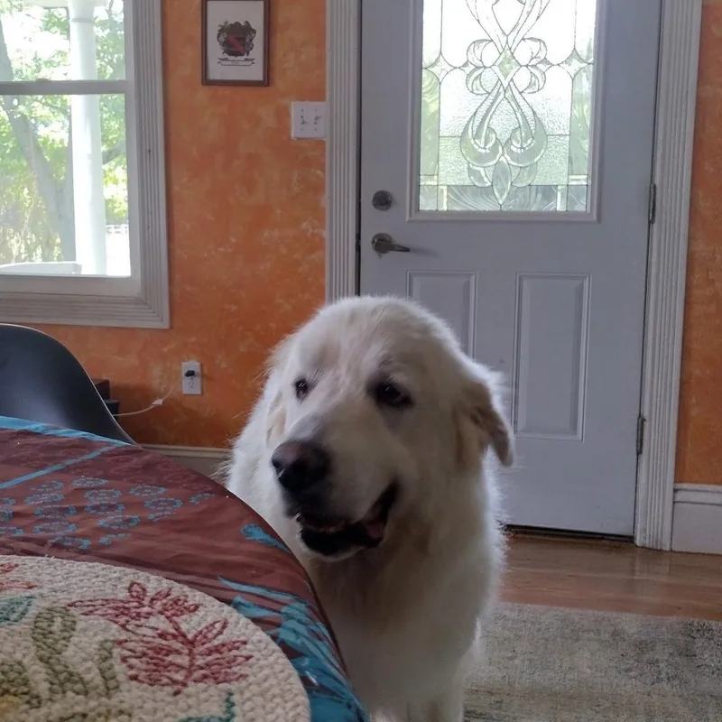 Jax  Beautiful Boy thumbnail 6
