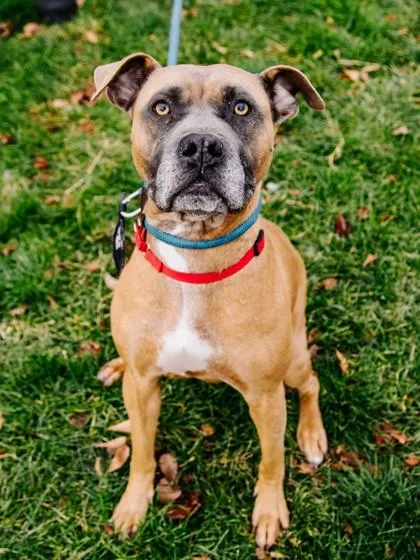 Rosie Fka Ivy thumbnail 2