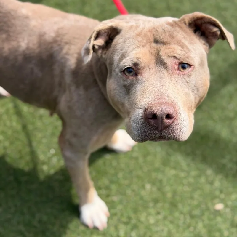 Snapshot thumbnail 2