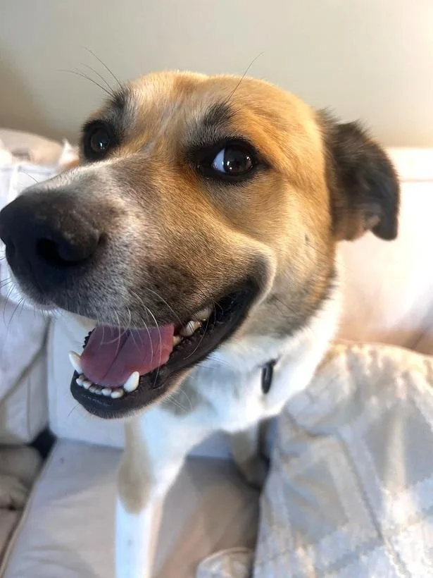Buster thumbnail 3