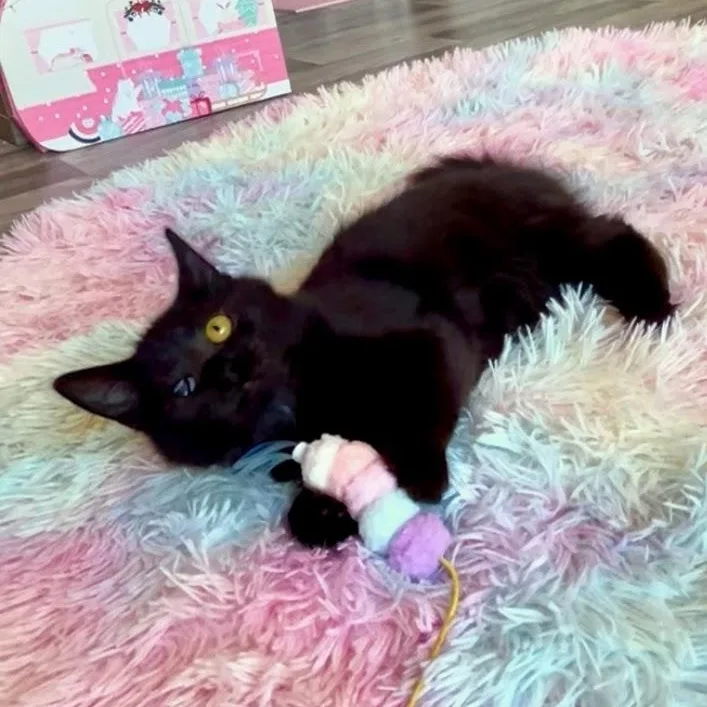 Edith & Lillian thumbnail 2