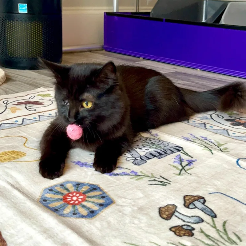 Edith & Lillian thumbnail 3