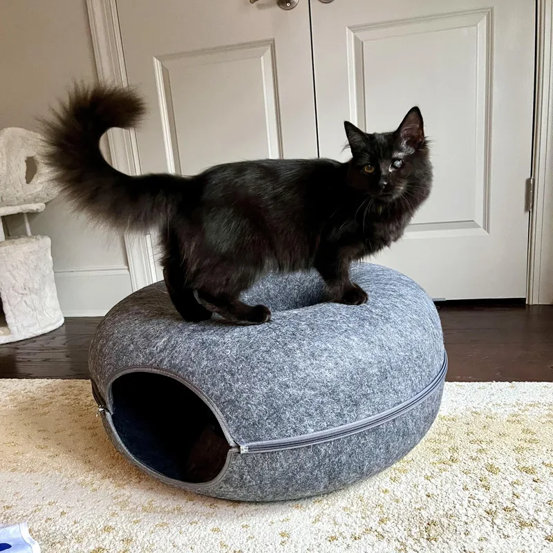 Edith & Lillian thumbnail 4