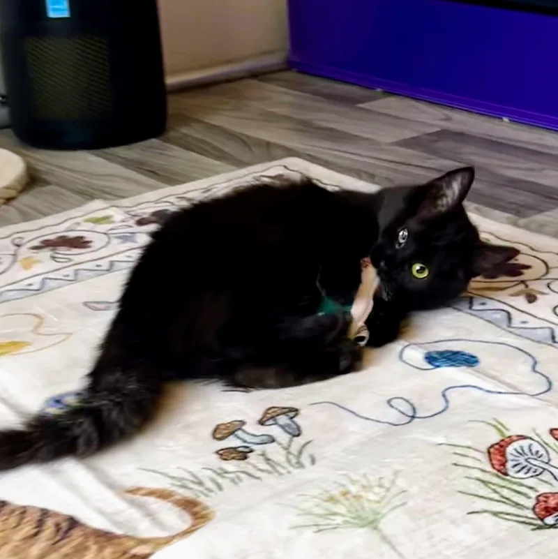 Edith & Lillian thumbnail 5