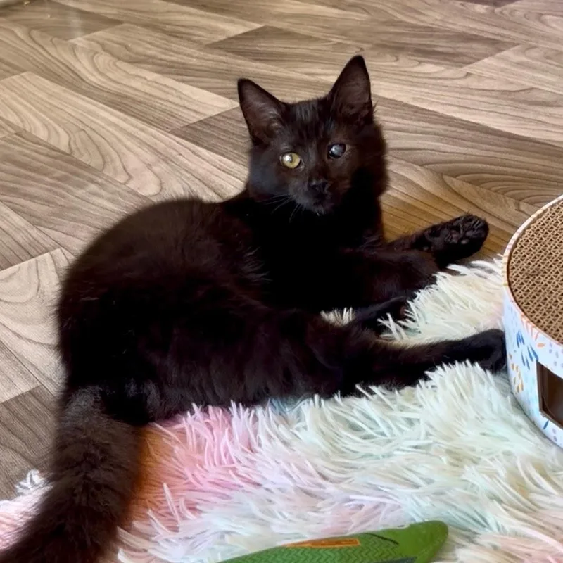 Edith & Lillian thumbnail 6