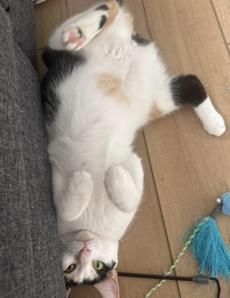 Coco And Momma Mary thumbnail 3