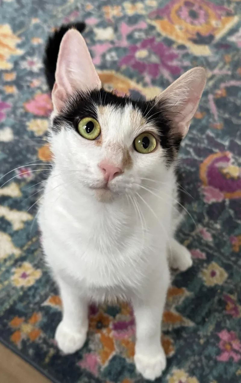 Coco And Momma Mary thumbnail 4