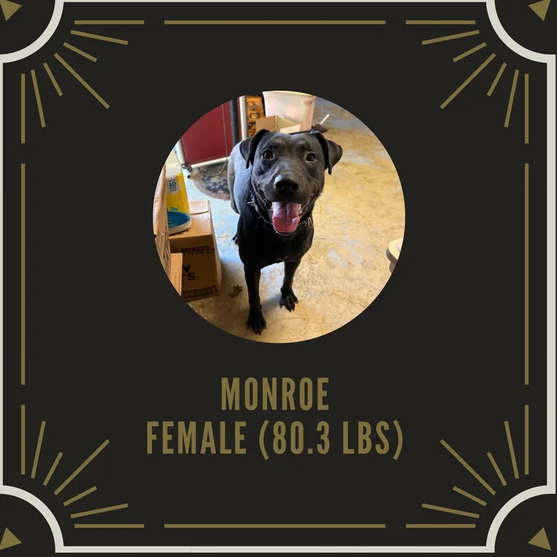 Monroe