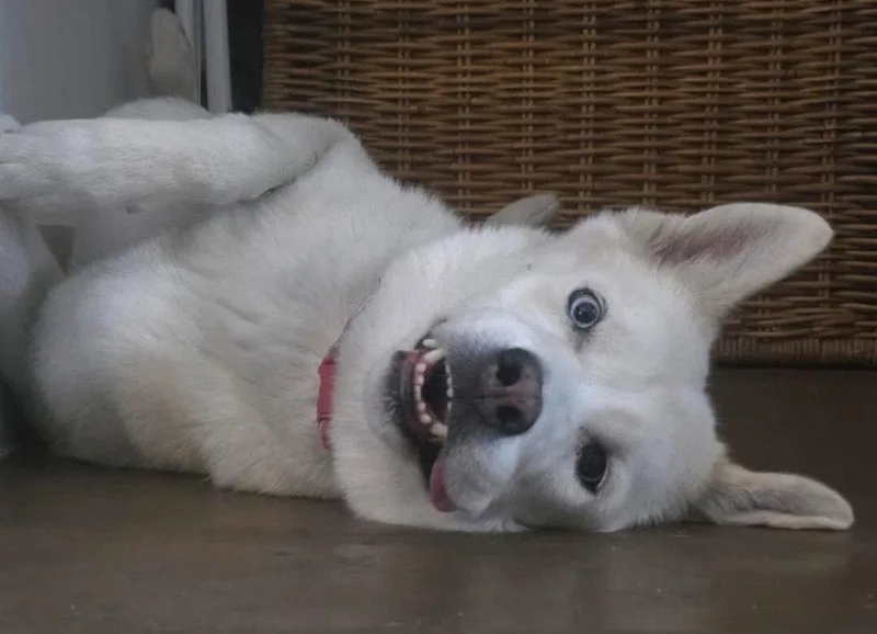 Luna