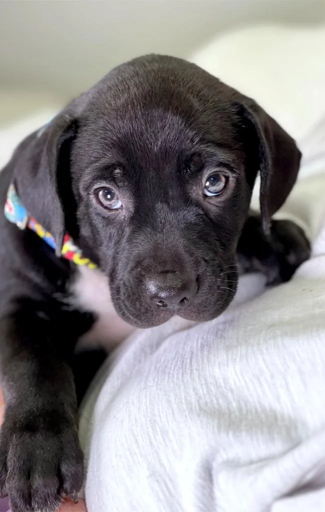 Sandwich Litter  Philly thumbnail 2