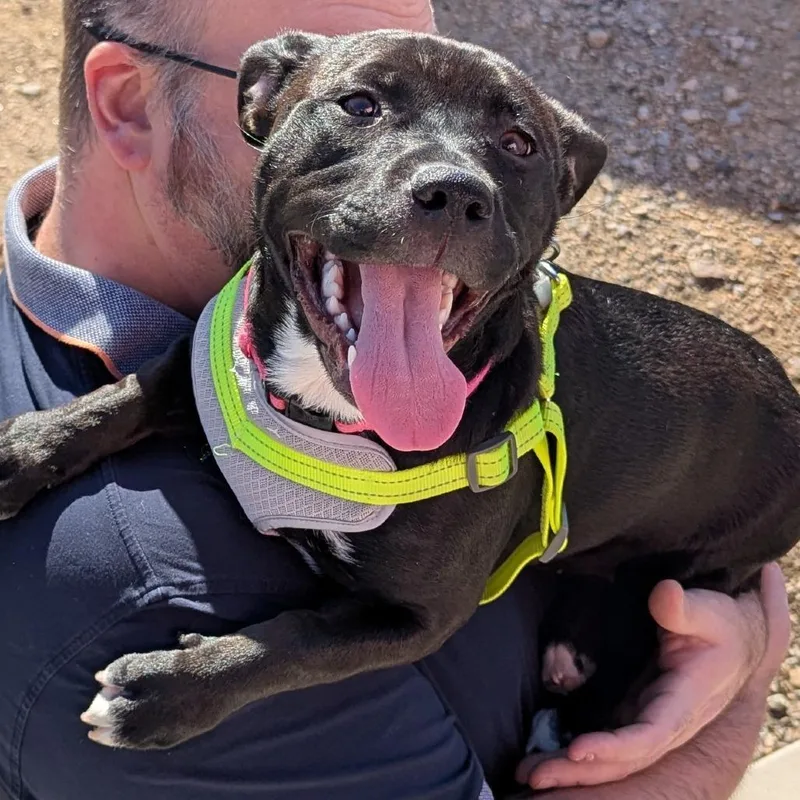 Daisy Long Legs thumbnail 2