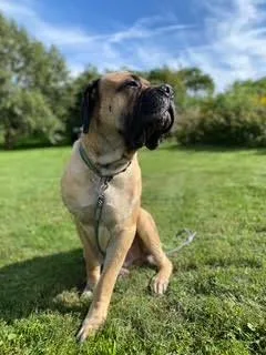 Gus Gus thumbnail 3