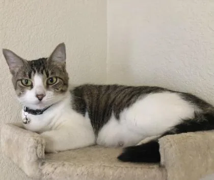 Puddles Yr+ thumbnail 3