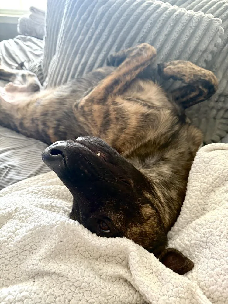 Kyrre  Located In thumbnail 2