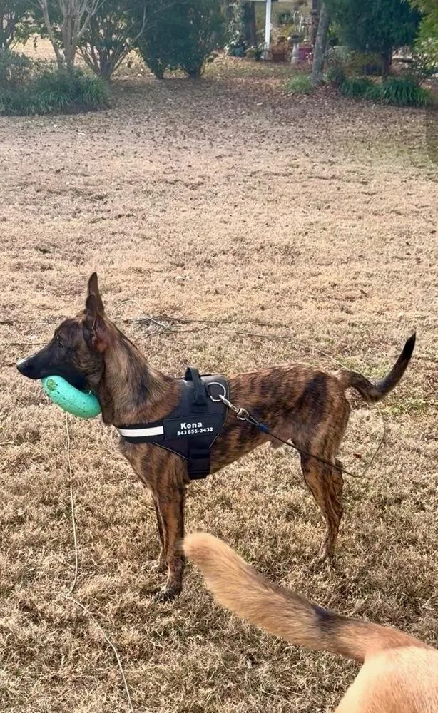 Kyrre  Located In thumbnail 4