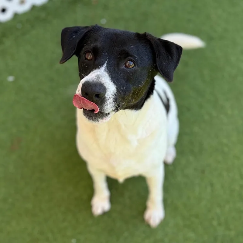 Travis Aka Otis thumbnail 2