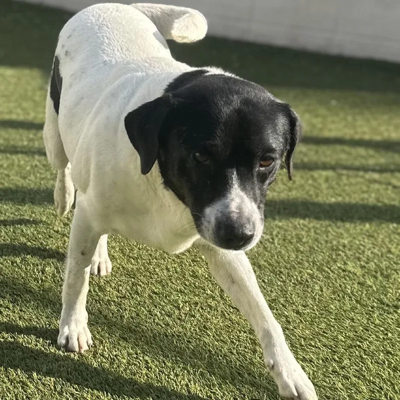 Travis Aka Otis thumbnail 3