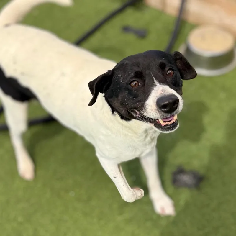 Travis Aka Otis thumbnail 4