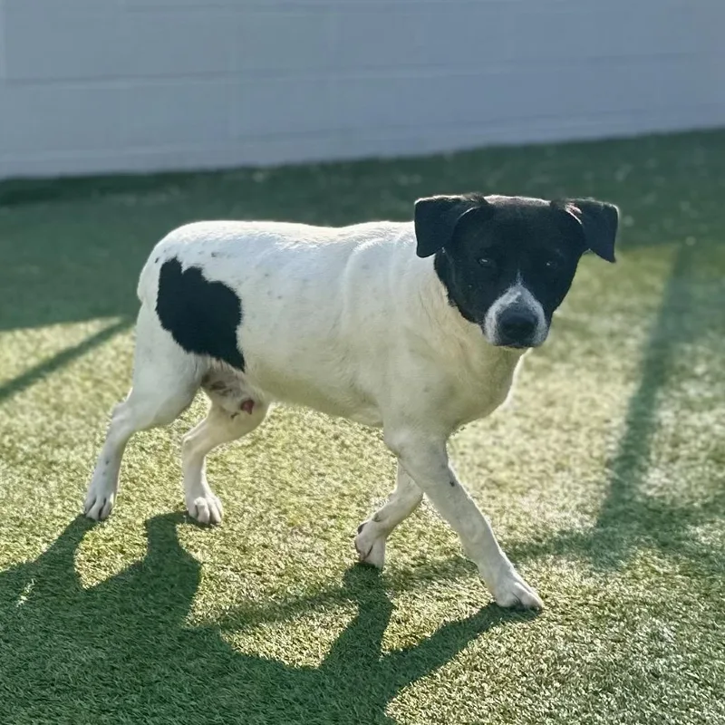 Travis Aka Otis thumbnail 5