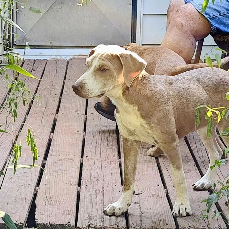 Cagney Come Meet! thumbnail 2