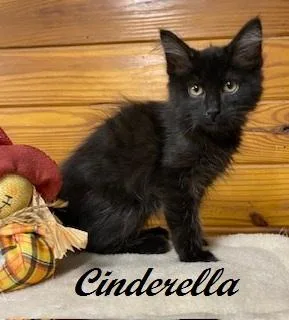 Cinderella  take me thumbnail 3