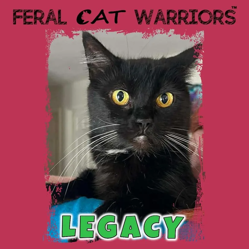 Legacy