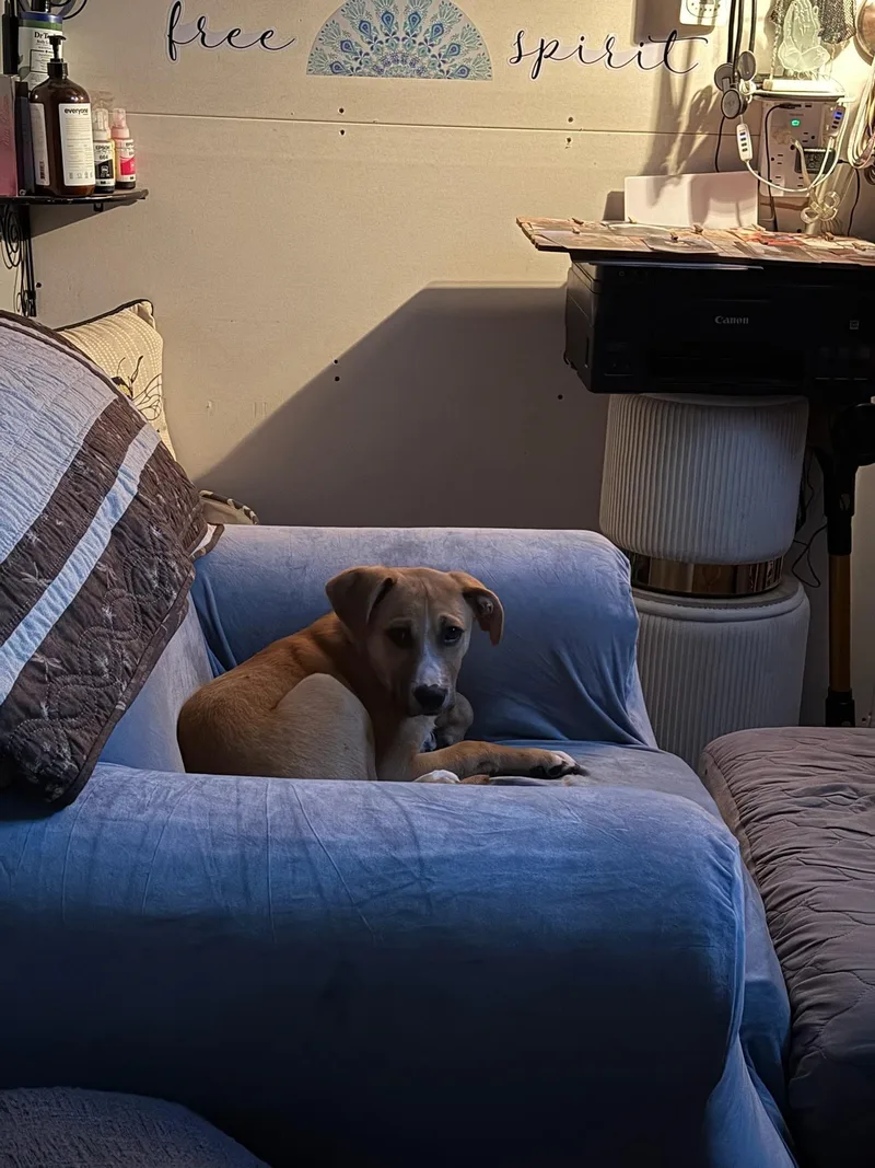 Buster thumbnail 4