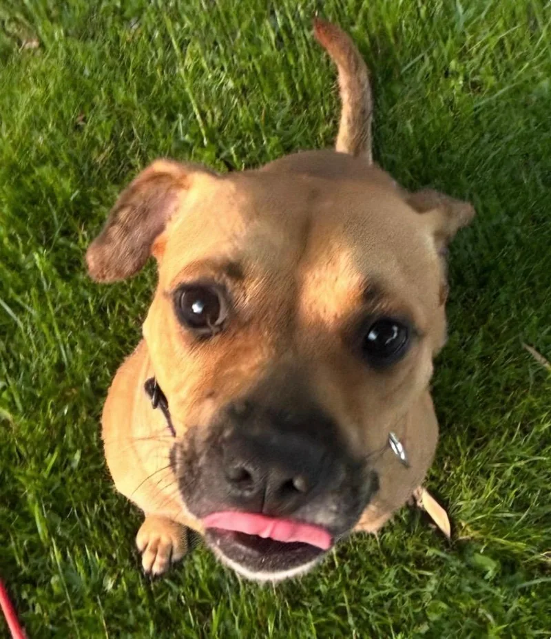 Heidi thumbnail 4