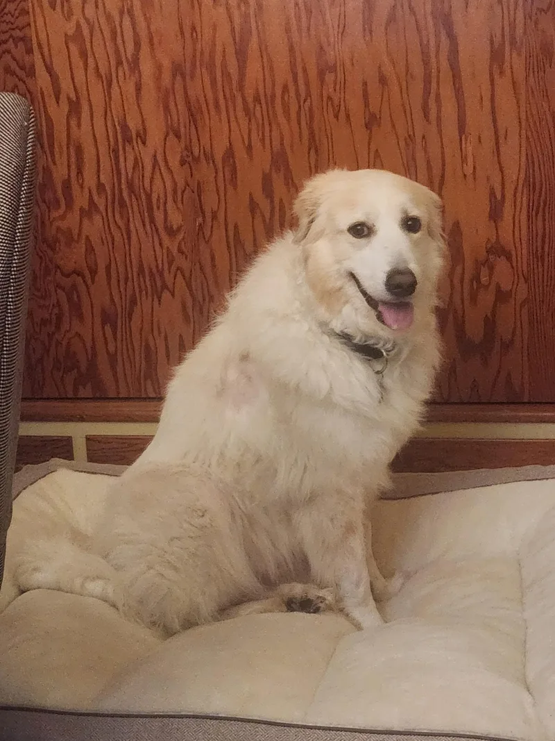 Maisy thumbnail 2