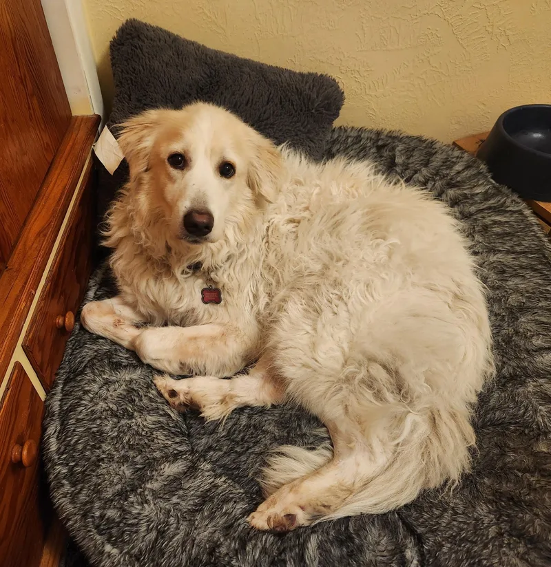 Maisy thumbnail 3