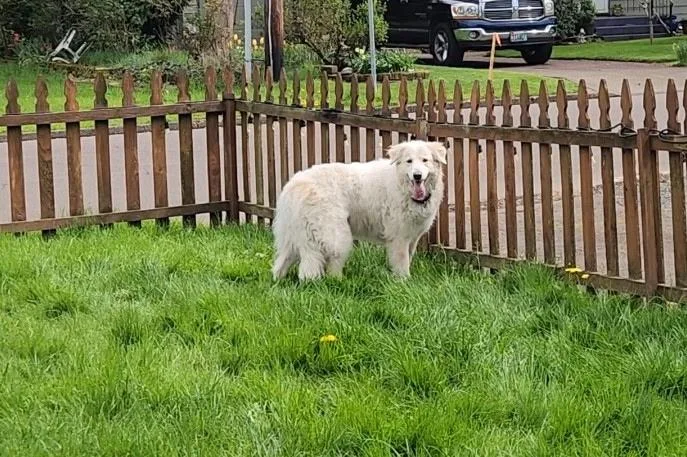 Maisy thumbnail 5