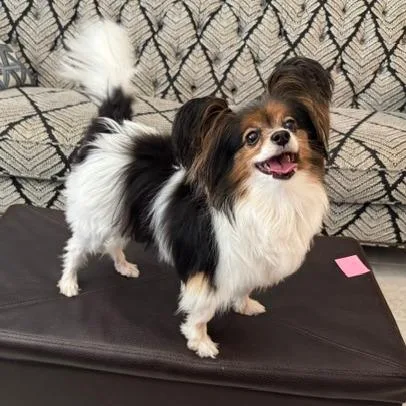 Coco thumbnail 4
