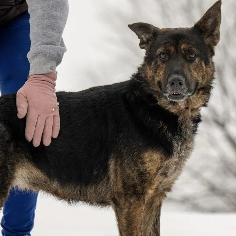 Harley May thumbnail 4