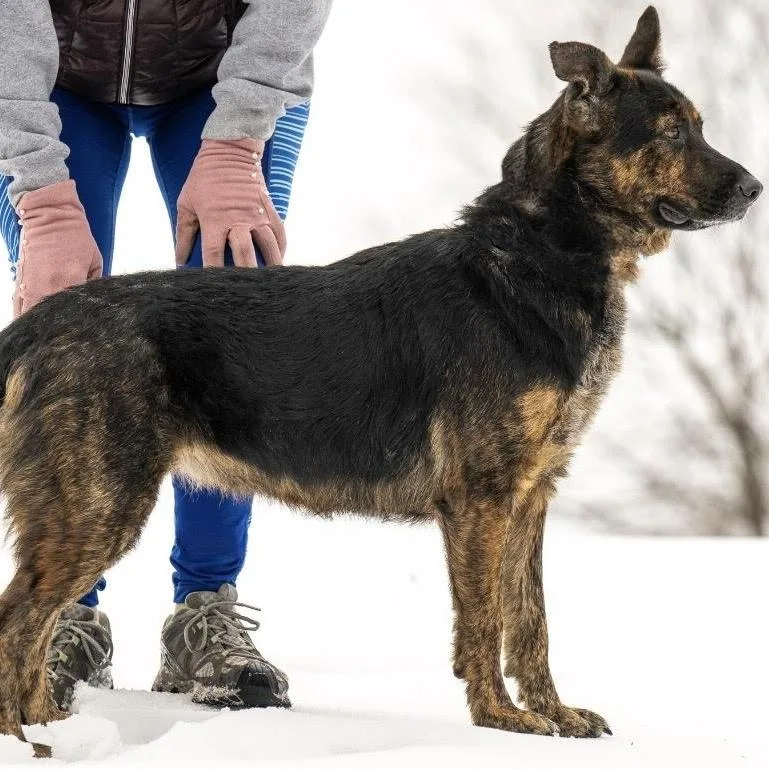 Harley May thumbnail 5