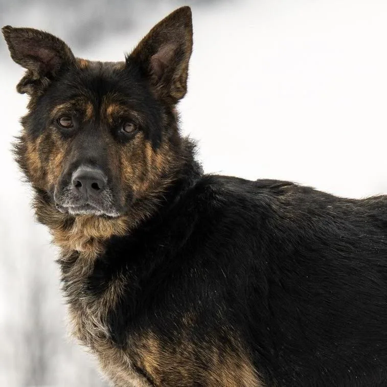 Harley May thumbnail 6