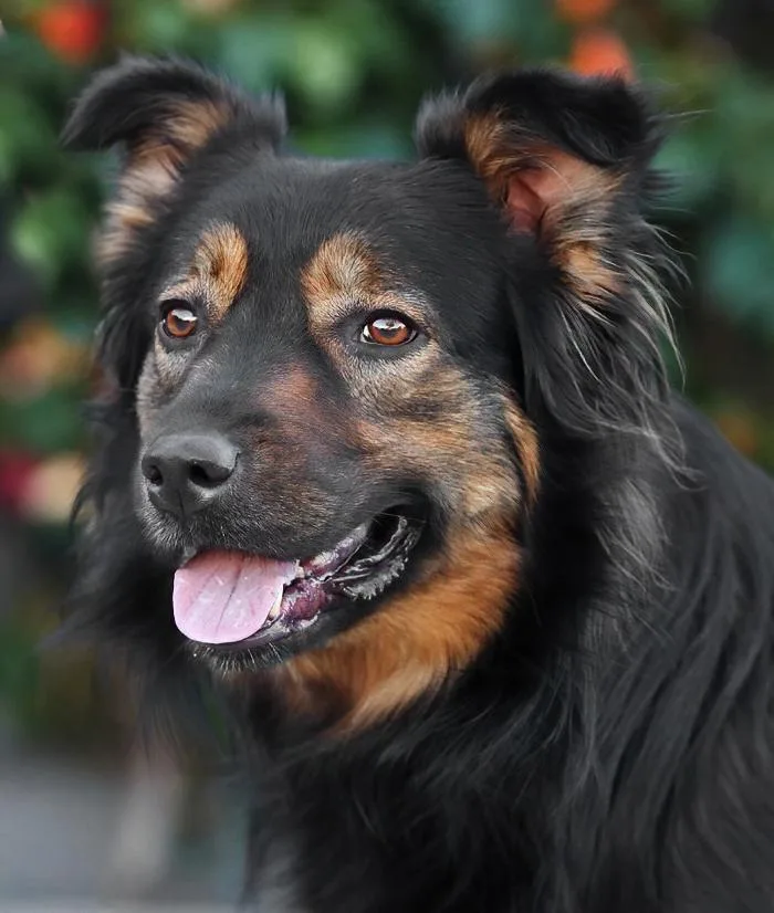 Luna Von Halloween thumbnail 2