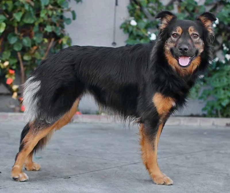 Luna Von Halloween thumbnail 3