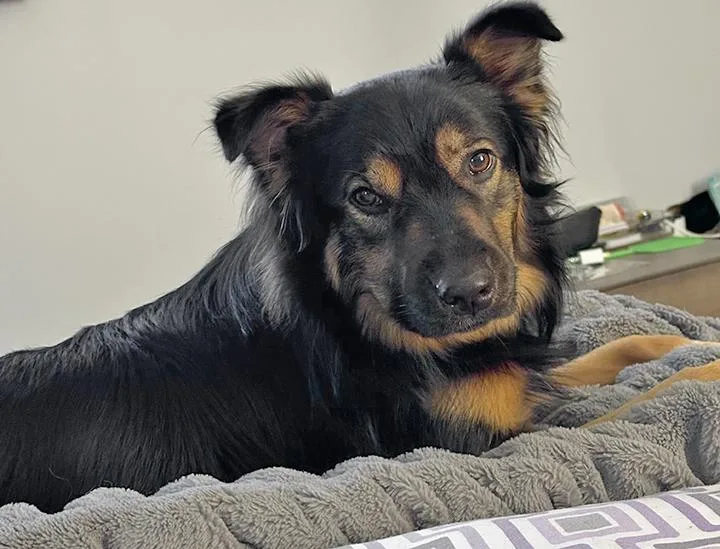 Luna Von Halloween thumbnail 5