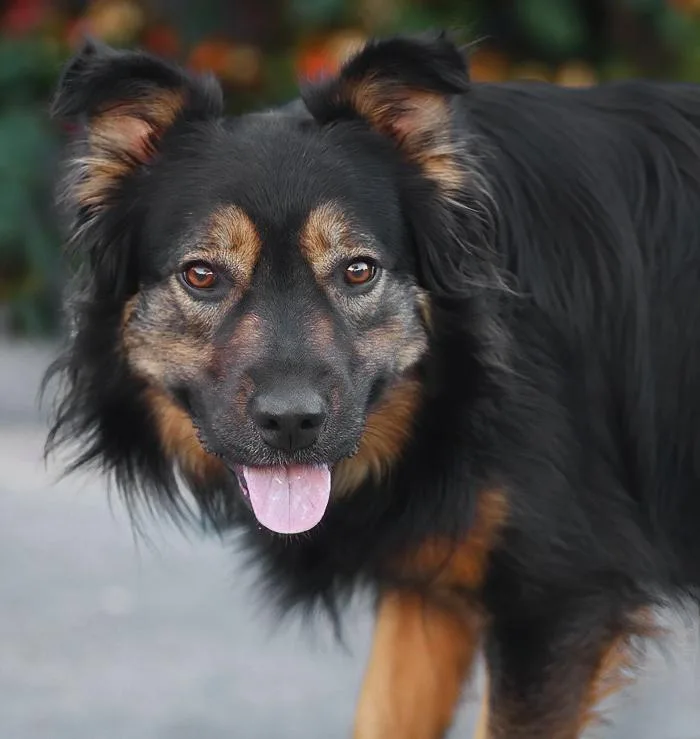 Luna Von Halloween thumbnail 6