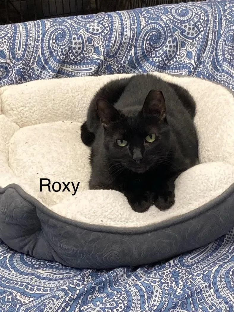 Roxy