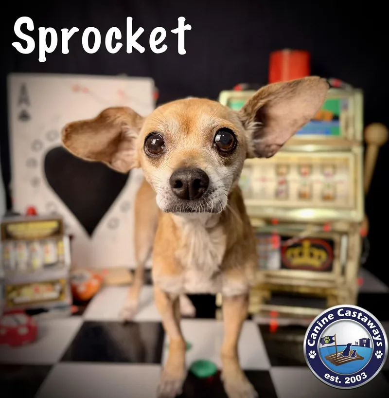 Sprocket thumbnail 2