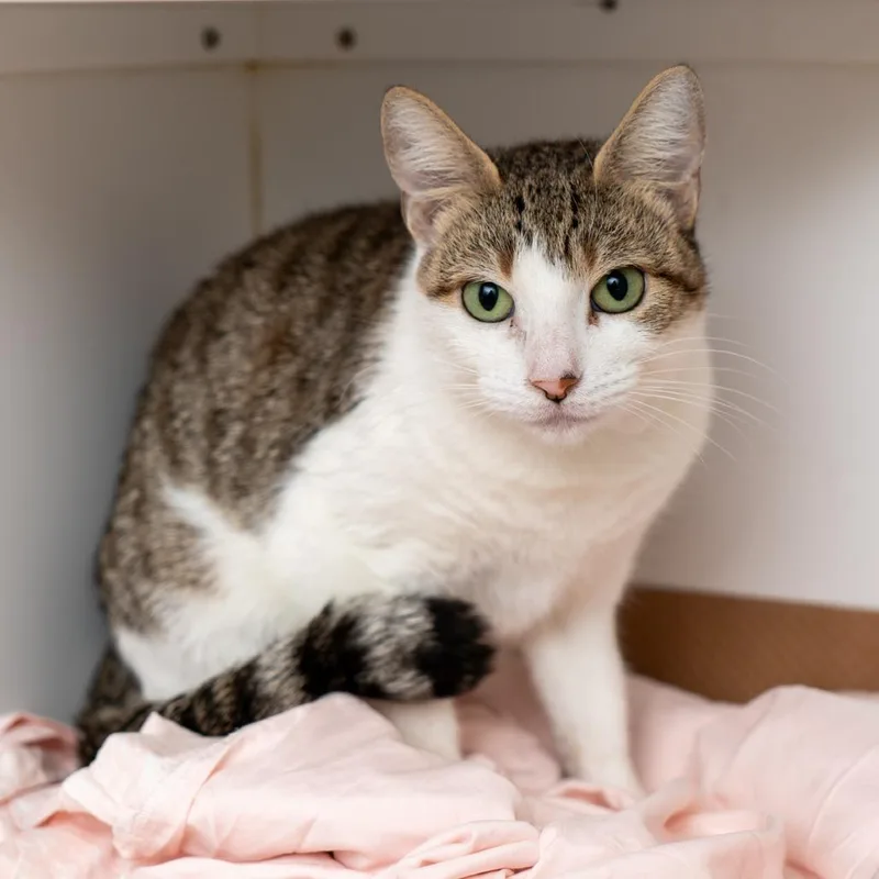 Babykins thumbnail 2