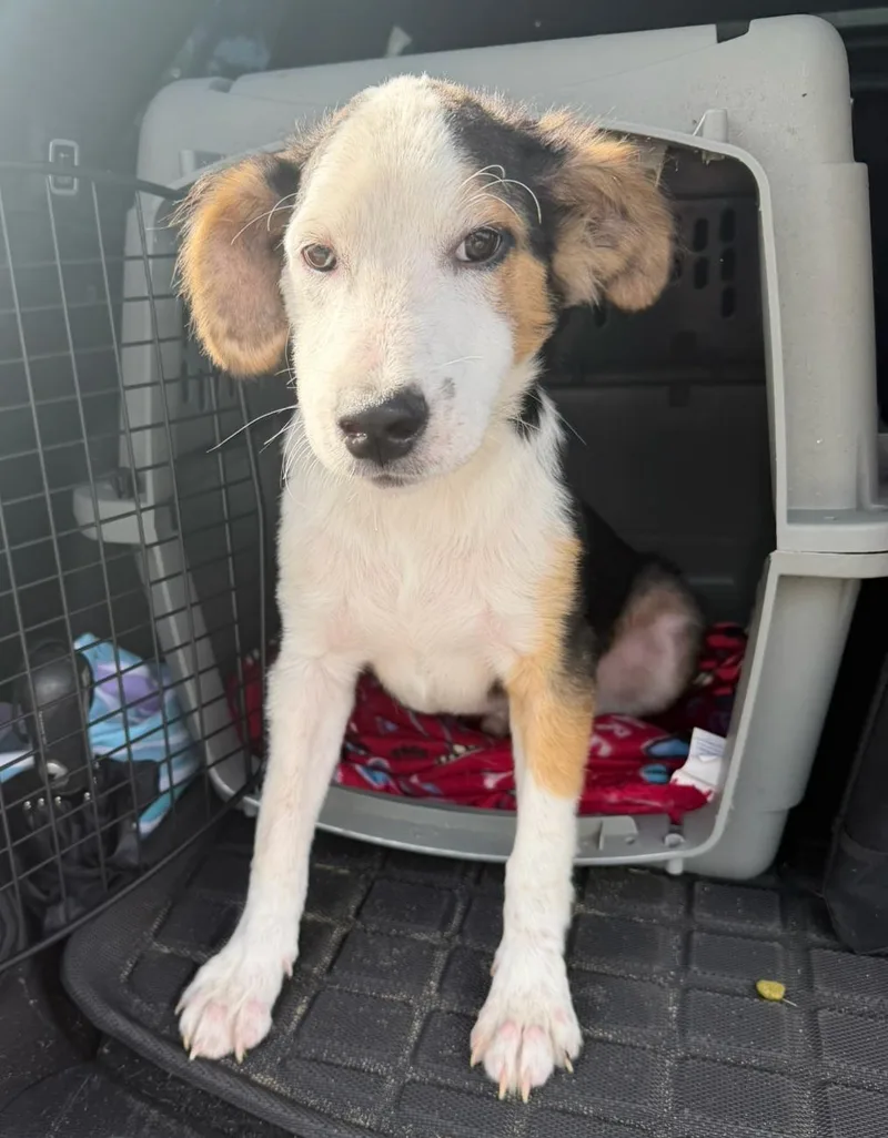 Jaxx  Will Give thumbnail 4