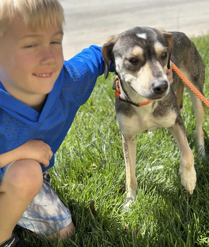 Delphinia thumbnail 3