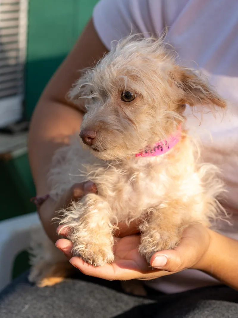 Baby Amy thumbnail 4