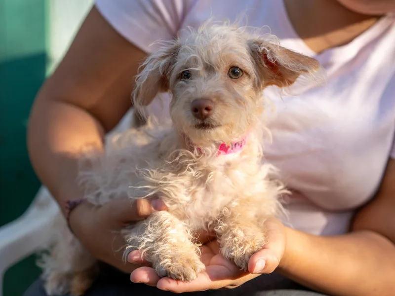 Baby Amy thumbnail 5