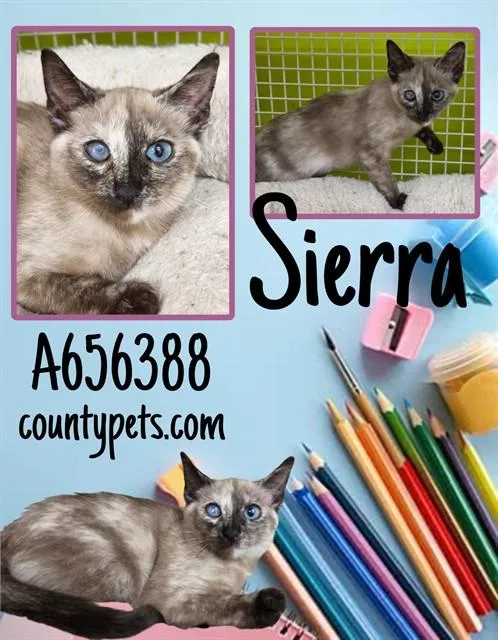 Sierra