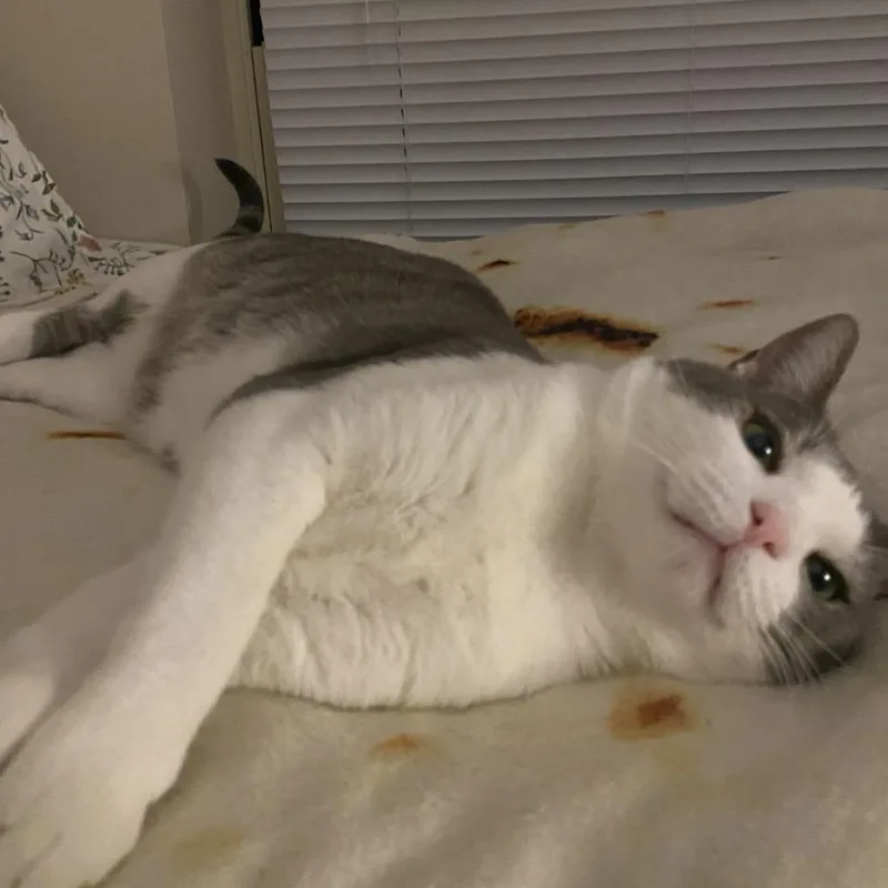 Ghost Rider thumbnail 6